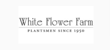 White Flower Farm
